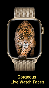 Live Watch Faces & Wallpapers screenshot