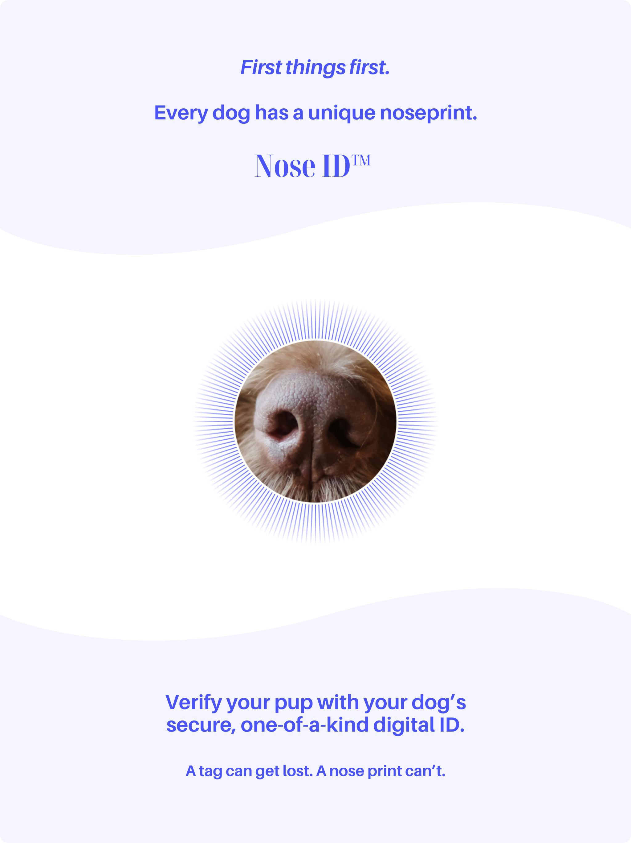 DOGES - Map & Track Dog Walks screenshot 13