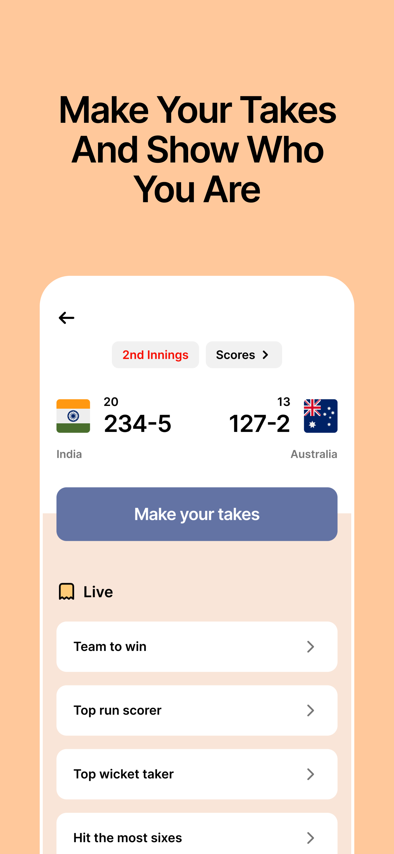 Punt - Cricket Fan Game