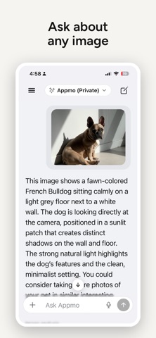 Appmo - AI Assistant iPhone screenshot