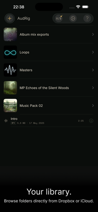AudRig Screenshot 5 of 6