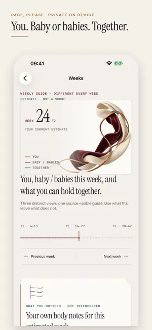 Pace, Please: Pregnancy screenshot 2