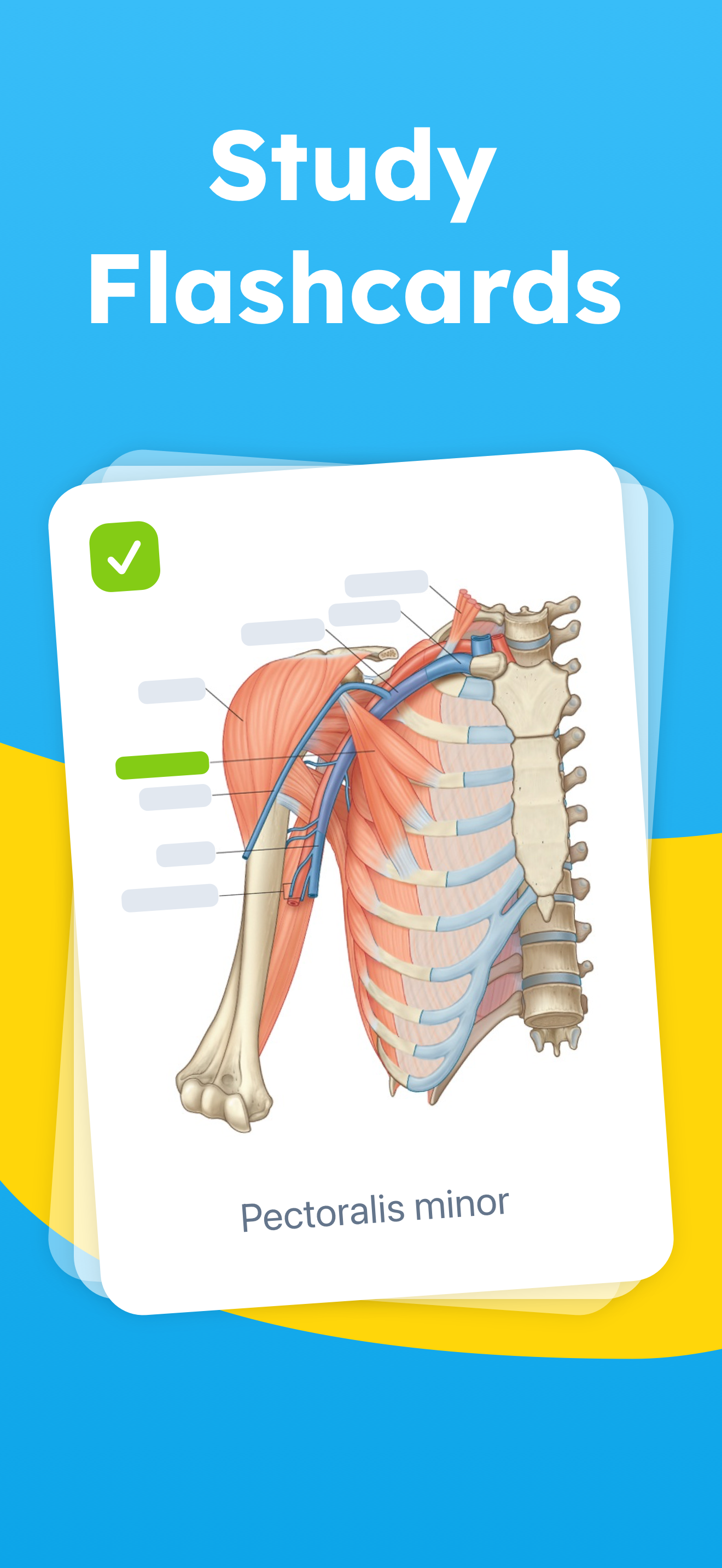 Mopiq: AI Flashcards Learning