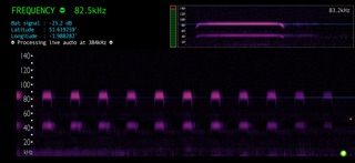 Bat Detector Screenshot 3 of 5
