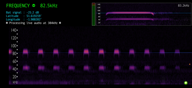 Bat Detector Screenshot 3 of 5