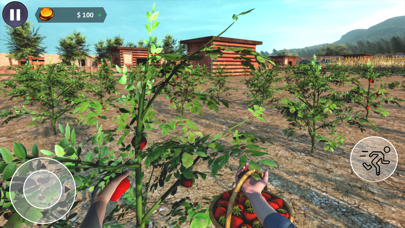 American Farming Simulator Screenshot