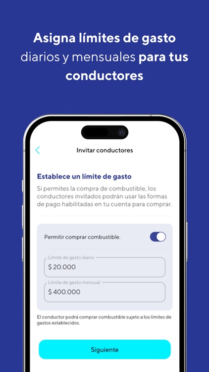 Copec Empresa screenshot-3