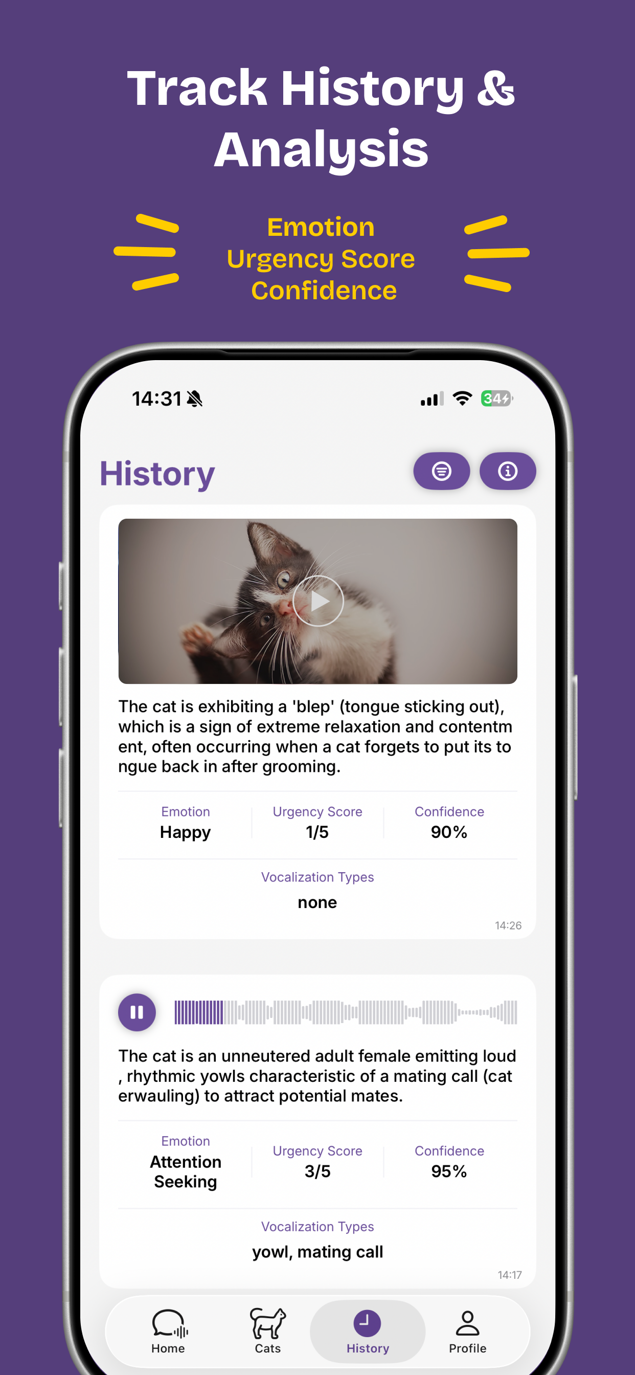 Felingo - Cat Translator