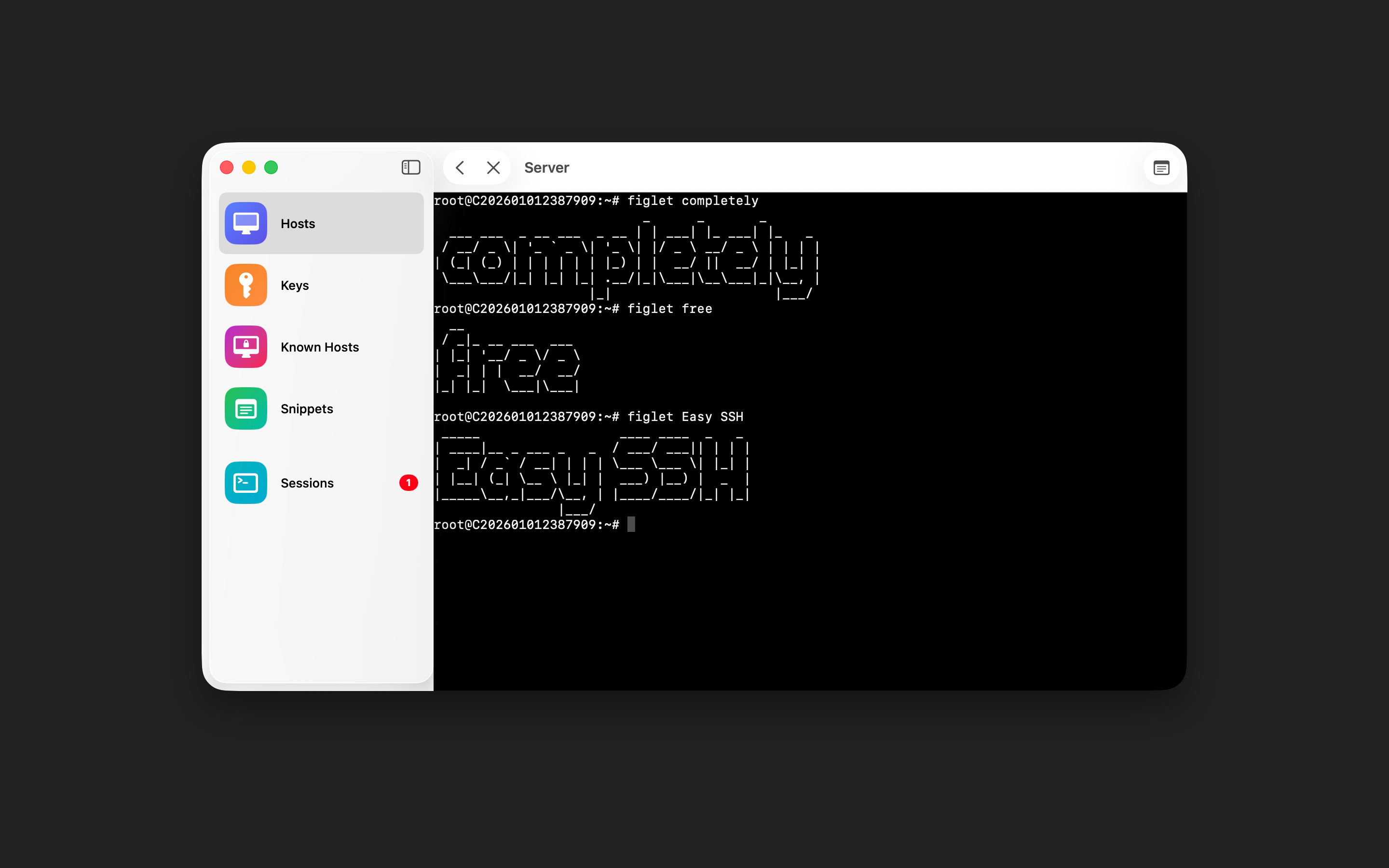 Easy SSH