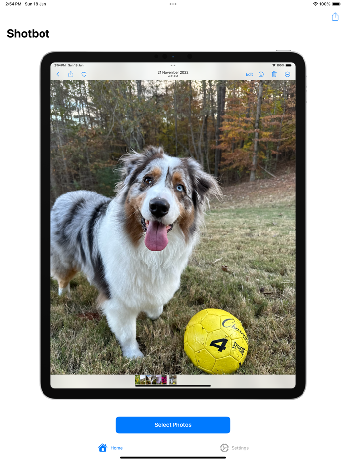 Shotbot - Framed Screenshots