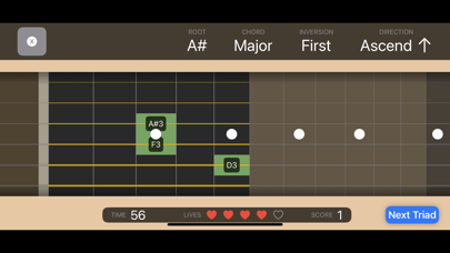 Triad Challenge Screenshot