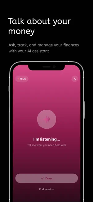 Pink Finance AI iPhone screenshot 3