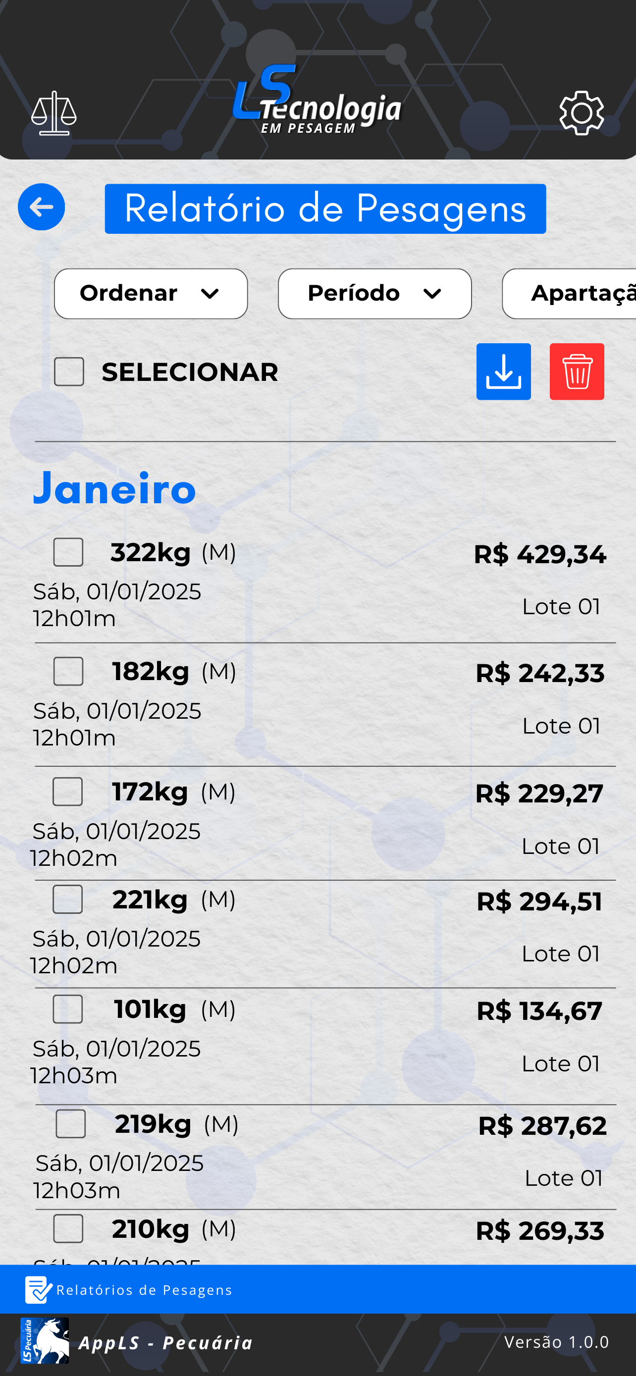 LS Pecuária