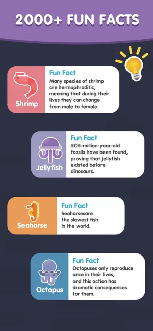Word Search Sea: Offline Games screenshot 6