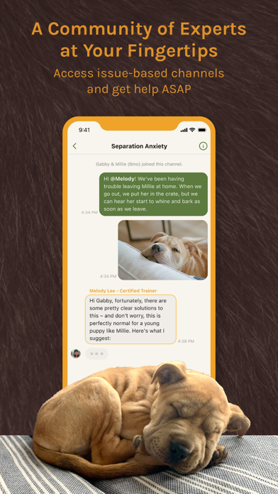 Gentle Beast - Puppy Training Screenshot