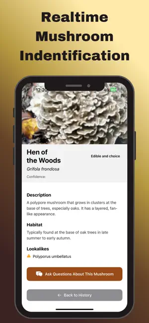 Mushroom Identifier : Mycelia screenshot 1