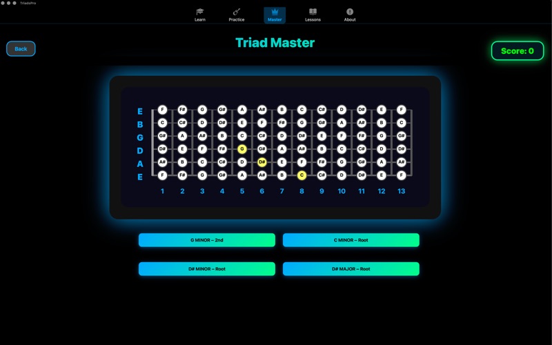 TriadsPro Studio screenshot 7