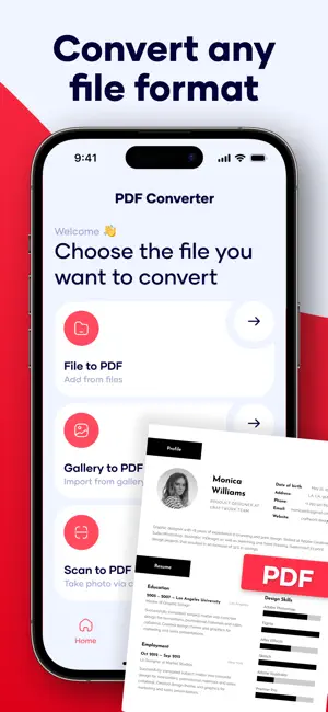 Picture to PDF Files Converter screenshot 2