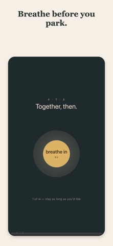 Park It: Worry & Anxiety Screenshot 9 of 10