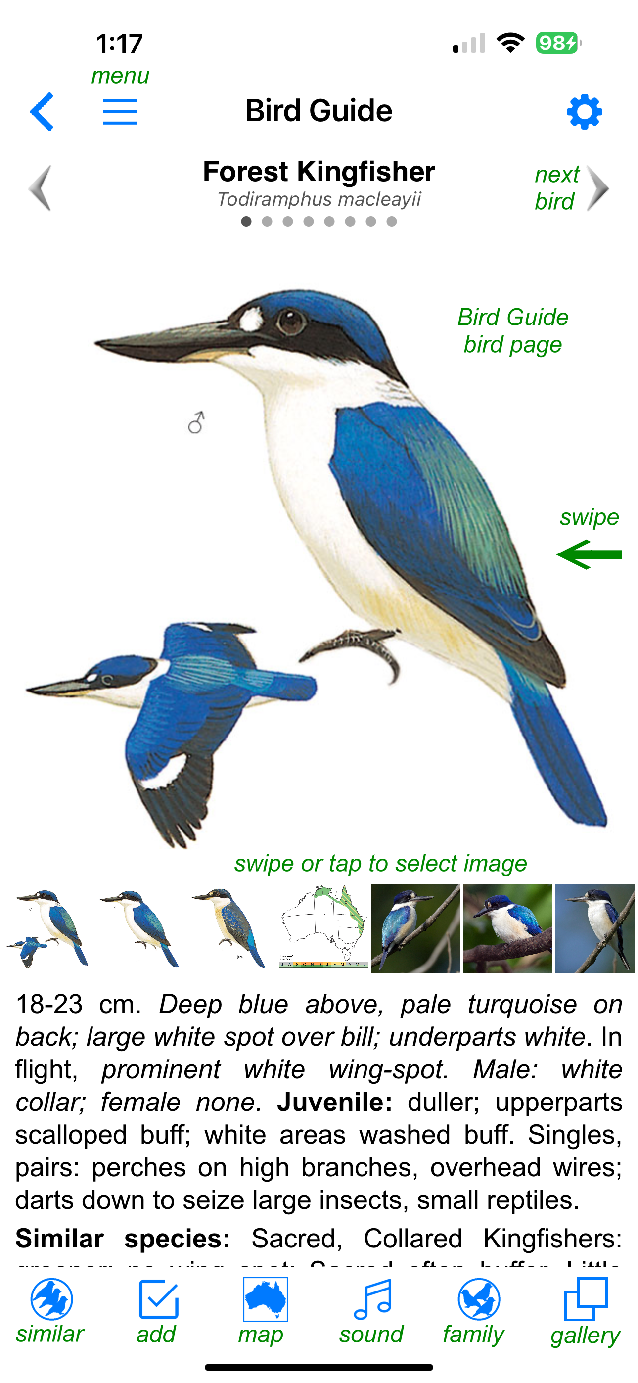 Pizzey and Knight Birds of Aus