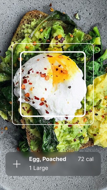 MyFitnessPal: Calorie Counter