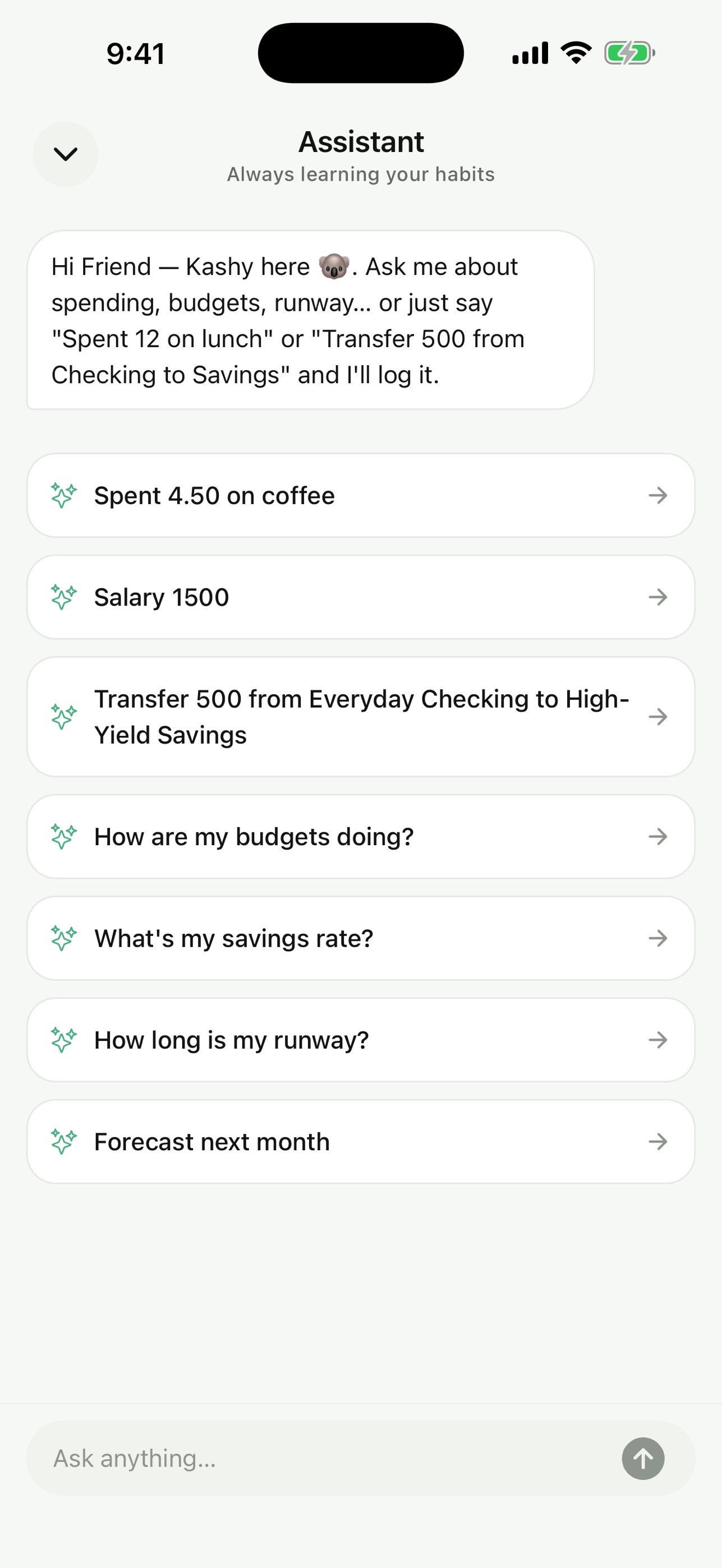 Screenshot 8 of Kashy Budgetty