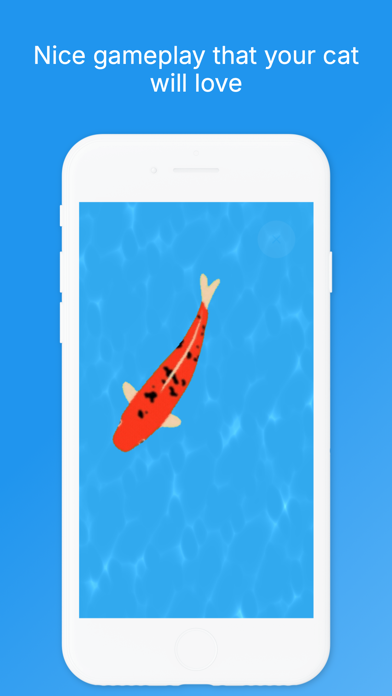 Caty - game for cats Screenshot