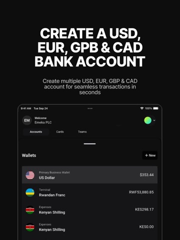 Platnova Business iPad screenshot