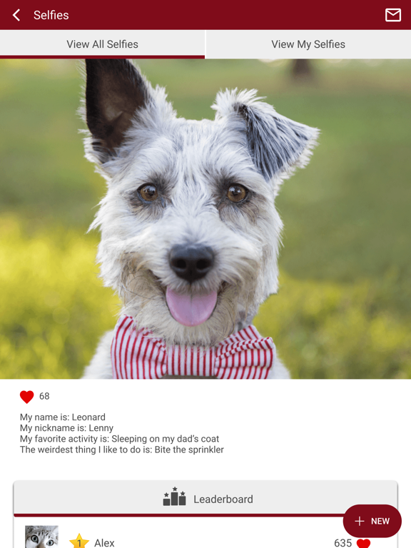 West Greenwich Animal Hospital iPad screenshot 4 - Business app