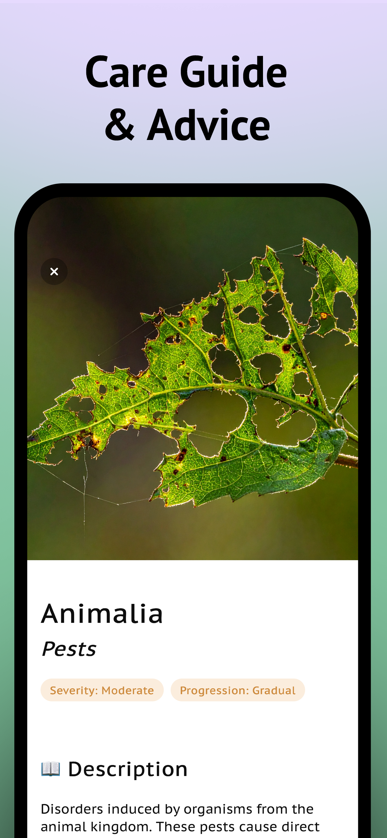 Diagnose Plant Problems App screenshot 6