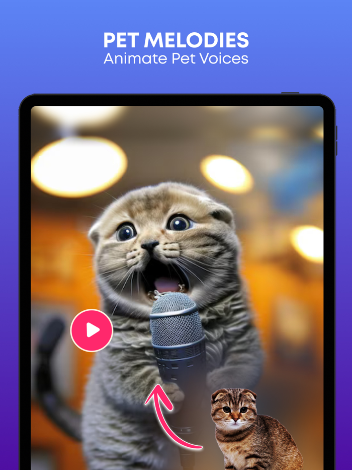 Face Dance AI Animate Photos