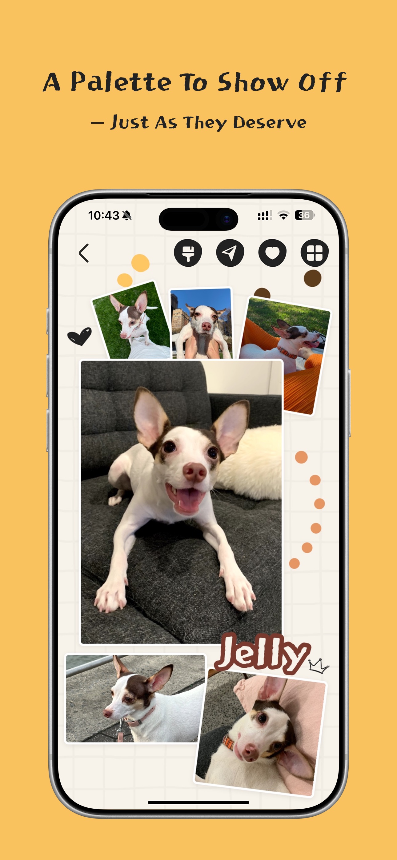 Screenshot 2 of WooMe - Pet Album