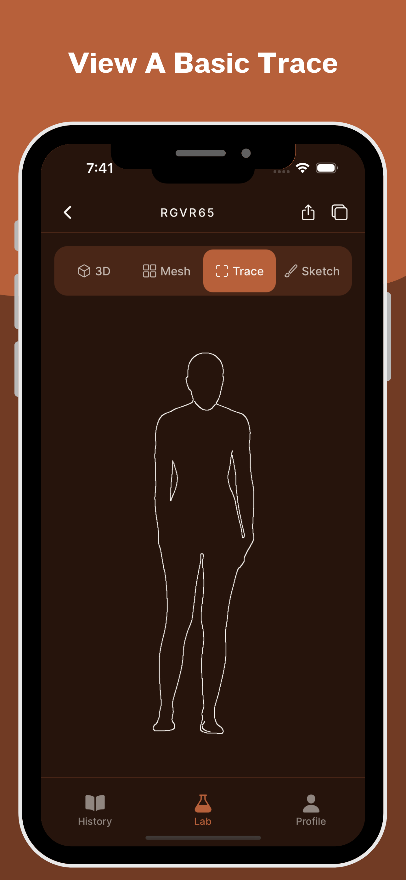 Body Sketch & 3D Body Model