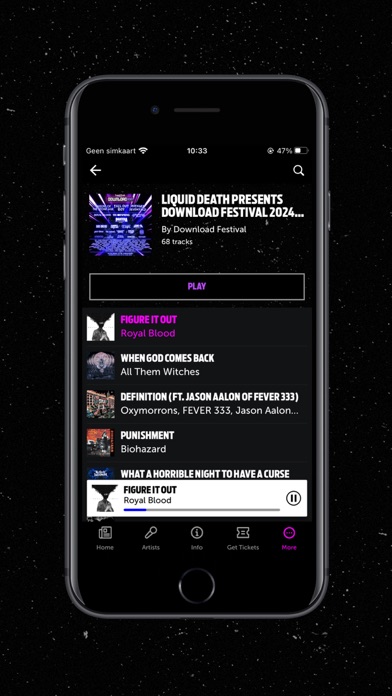 Download Festival Screenshot