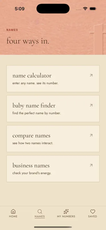 Numerology Name Finder screenshot 5 of 6