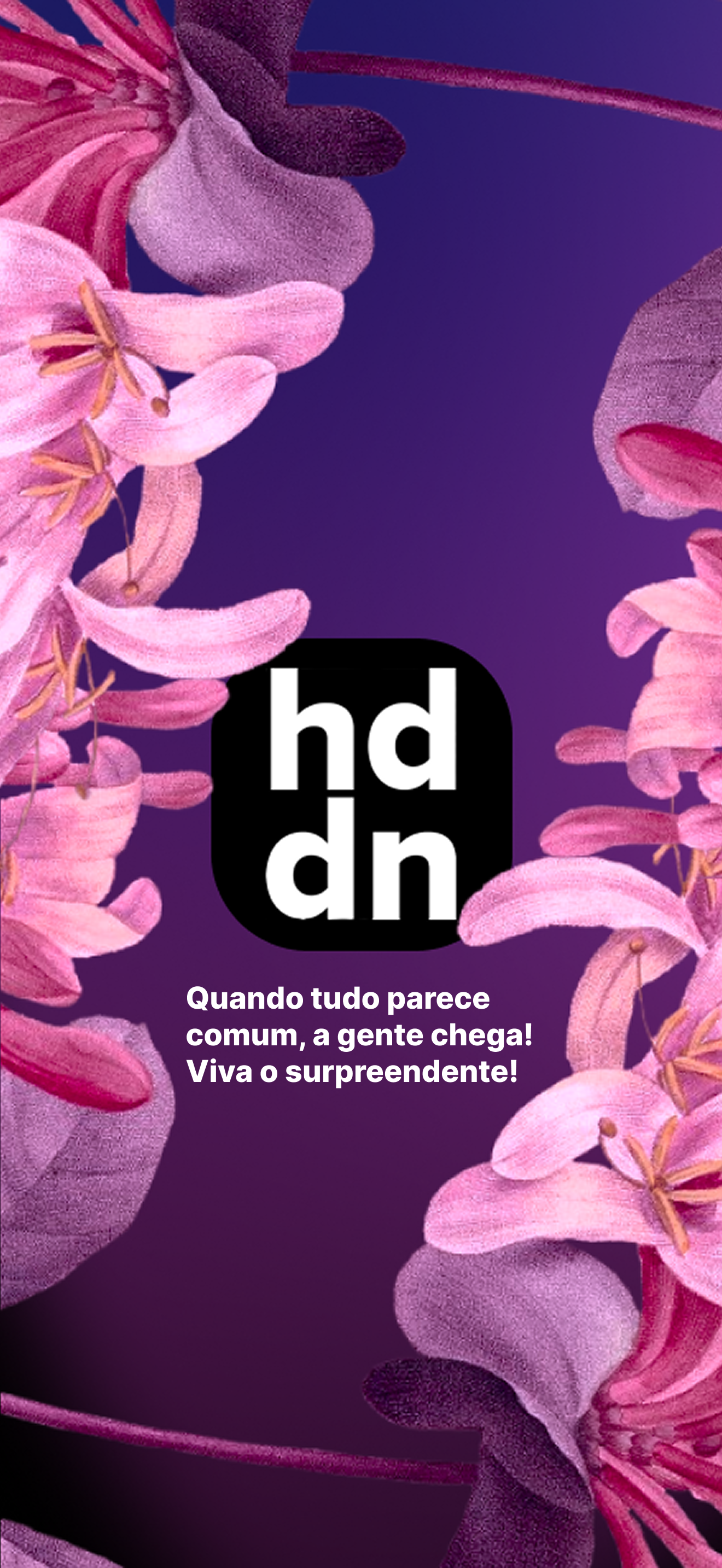 Hidden Brasil