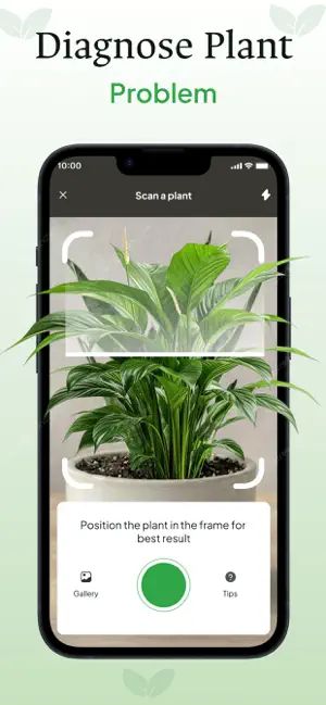 Clover: Plant Identifier screenshot 2