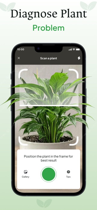 Clover: Plant Identifier Screenshot 2 of 5