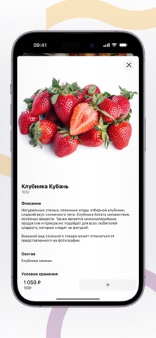 Zatrimorya iPhone screenshot
