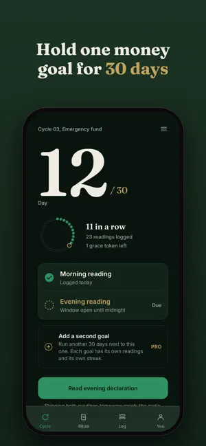 Declare - 30 Day Money Ritual screenshot 1