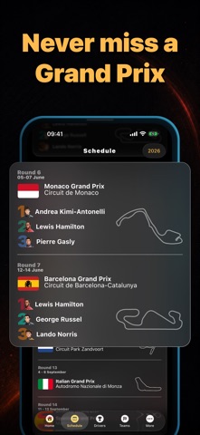 GP Wheel - Race Companion screenshot