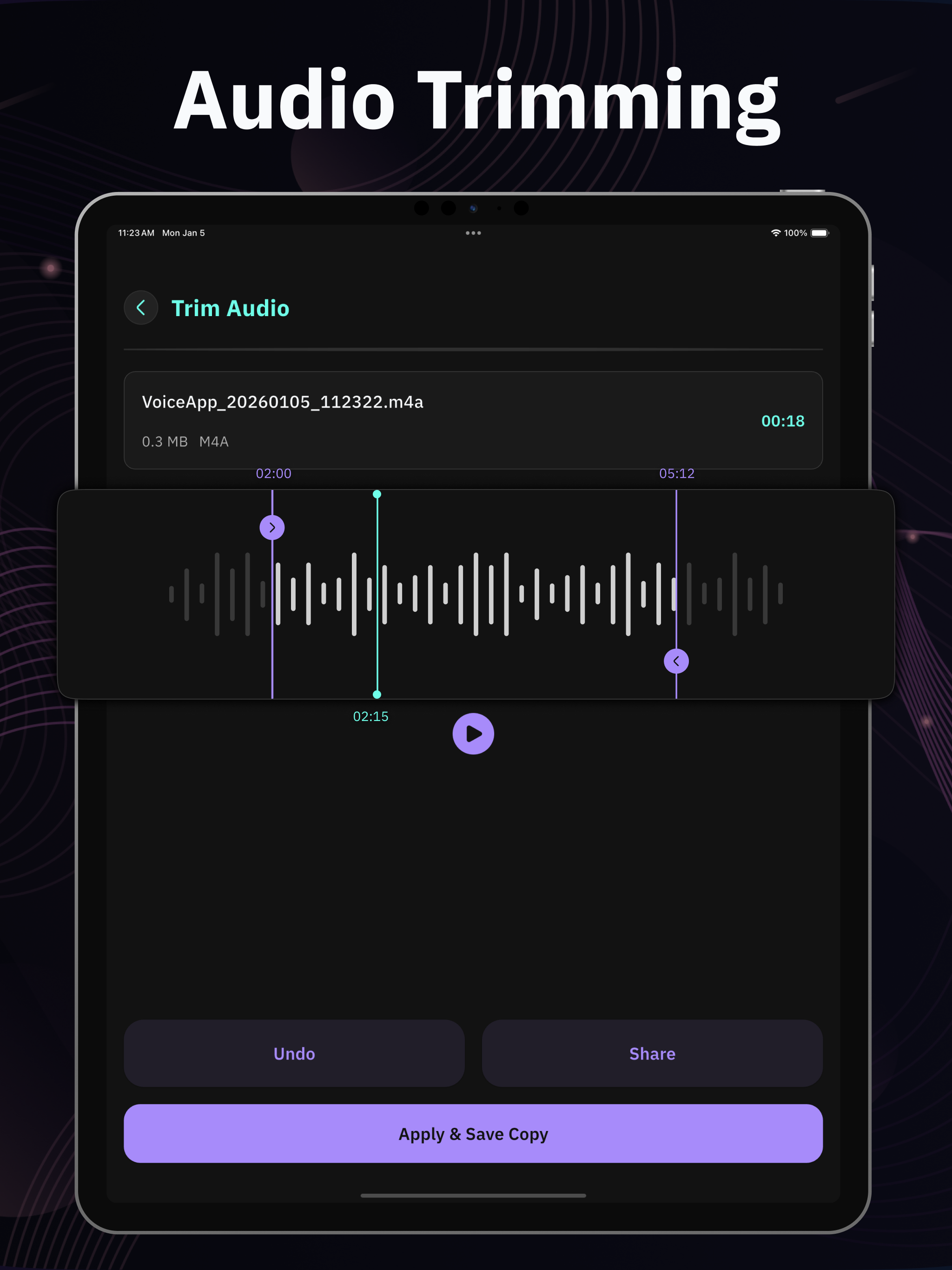 Audio Voice Recorder