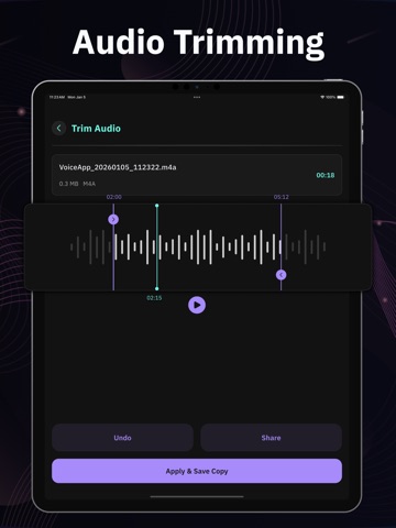 Audio Voice Recorder iPad screenshot