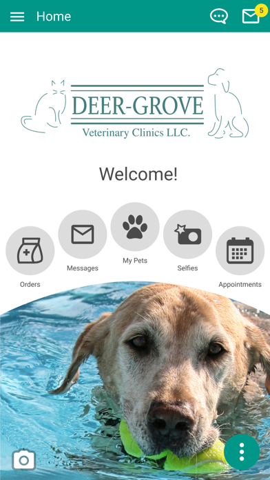 Deer Grove Vet Clinic app screenshot