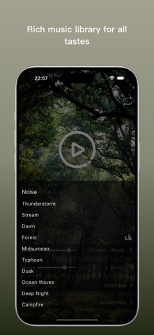 Rainlane - Piano & Ambience iPhone screenshot