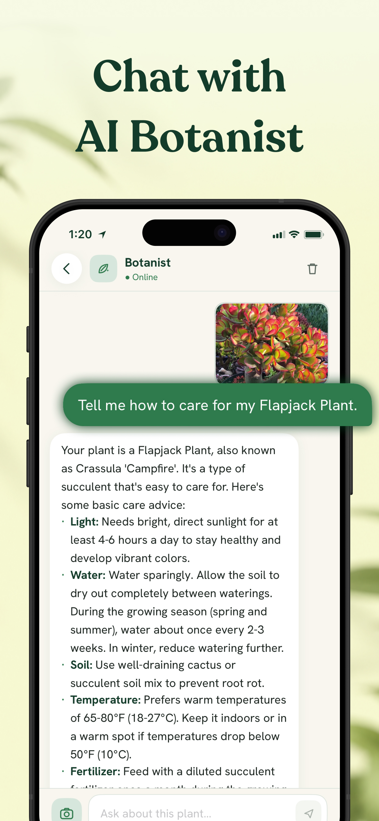 Plant Identifier - Arbora AI screenshot 5