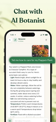 Plant Identifier - Arbora AI iPhone screenshot