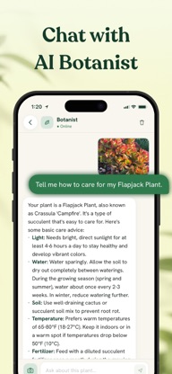 Plant Identifier - Arbora AI screenshot 5