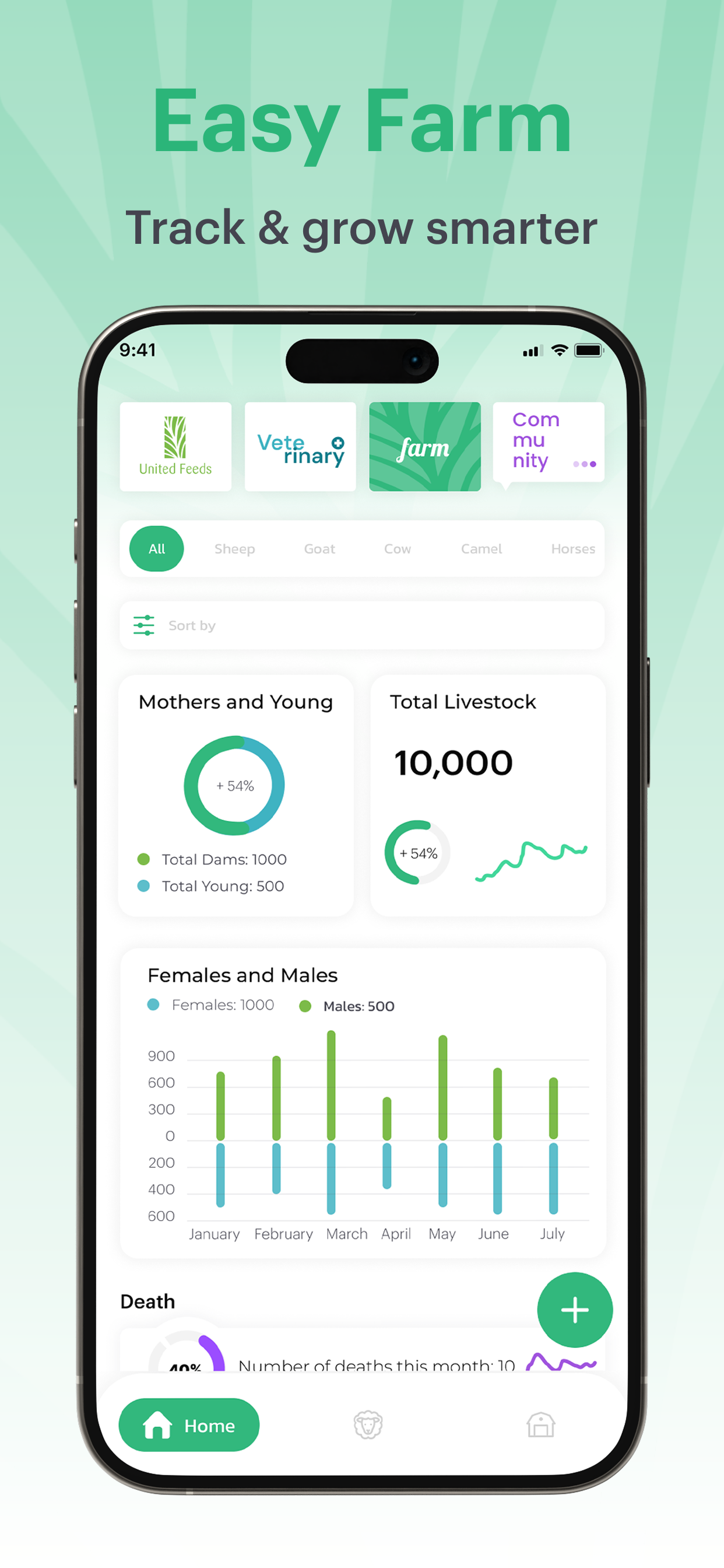 United Feeds - المتحدة للاعلاف