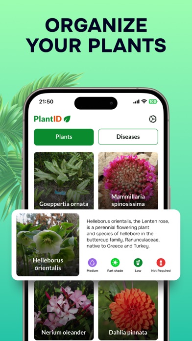 Plant Identifier: Nature ID AI Screenshot